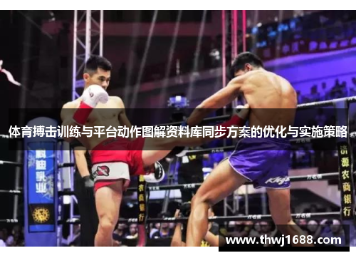 体育搏击训练与平台动作图解资料库同步方案的优化与实施策略